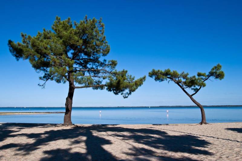 Activités en plein coeur de la nature à Lacanau - Moutchic Loisirs