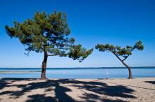 Activités en plein coeur de la nature à Lacanau - Moutchic Loisirs